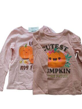 The Childern's Place 2 T-shirt pink & peach with pumpkins Girls Size 3T